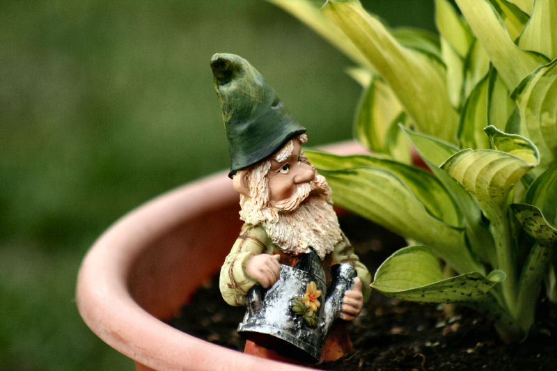 Gnome_by_JennyJenna